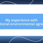 My experience with international environmental agreements