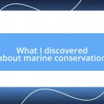 What I discovered about marine conservation